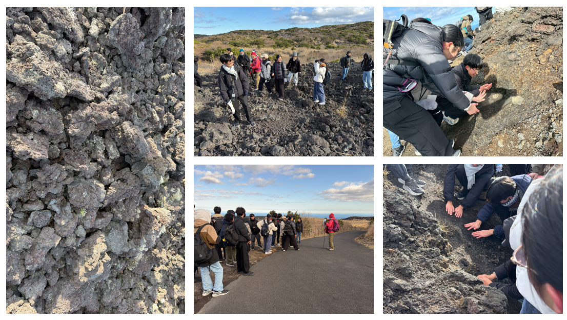 スクリーンショット 2026-01-09 145506